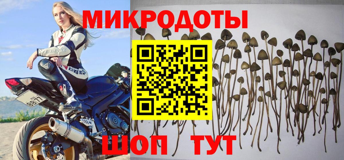 Псилоцибиновые грибы мухоморы  Вход с VPN  Нижний Новгород 